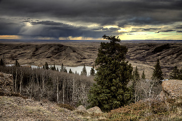 Image showing Cypress Hills Alberta Saskatchewan