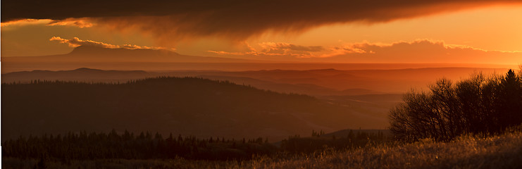 Image showing Cypress Hills Sunset