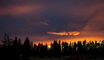 Image showing Cypress Hills Sunset