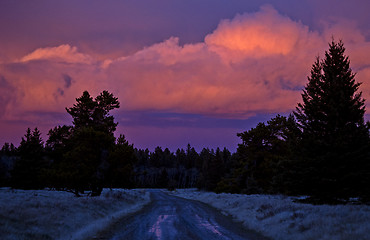 Image showing Cypress Hills Sunset