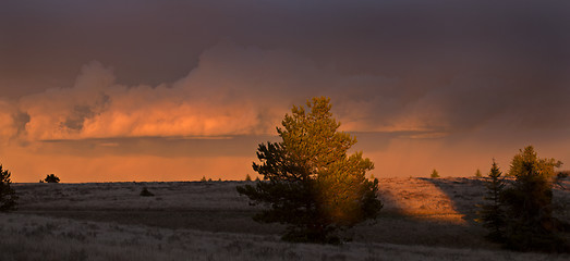 Image showing Cypress Hills Sunset