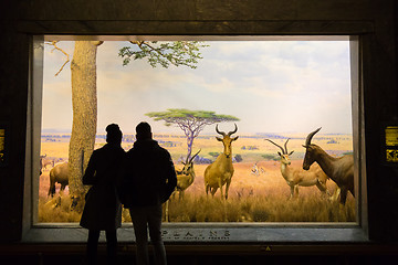 Image showing American Museum for National History, USA.