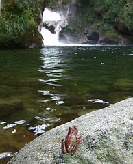 Image showing Waterfall in Itatiaia