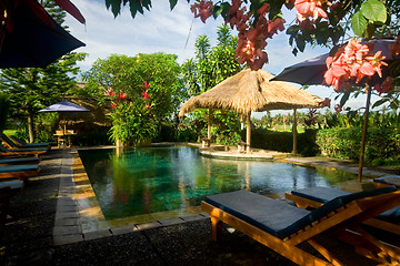 Image showing Swimming pool in a tropical resort