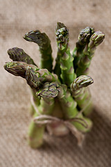 Image showing Asparagus