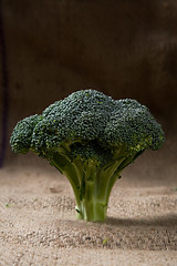 Image showing Broccoli