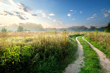 Image showing Fog over country road