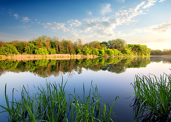 Image showing Reflection of forest in river