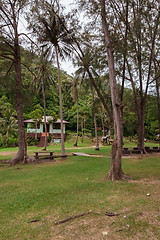 Image showing tropical garden and  the road 