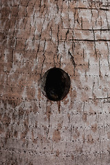 Image showing natural tree bark