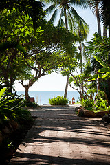 Image showing tropical garden and  the road to sea beach