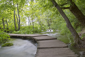 Image showing Plitvice