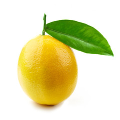 Image showing fresh ripe lemon