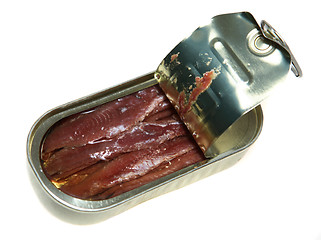 Image showing Anchovies in tin