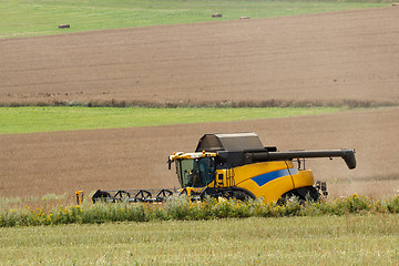 Image showing combine harvesting rape