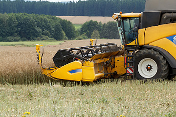 Image showing combine harvesting rape