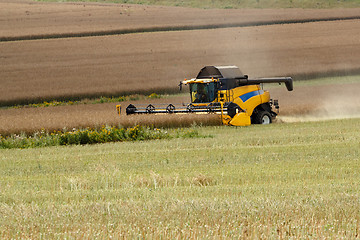 Image showing combine harvesting rape