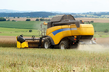 Image showing combine harvesting rape