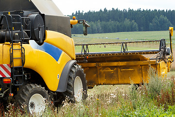 Image showing combine harvesting rape