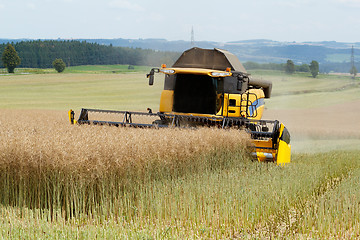 Image showing combine harvesting rape