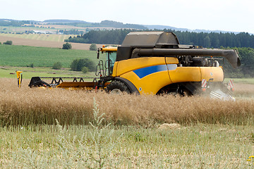 Image showing combine harvesting rape