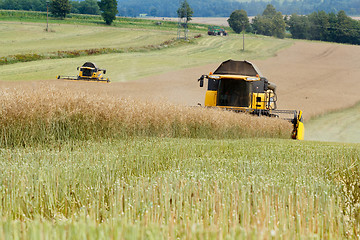 Image showing combine harvesting rape