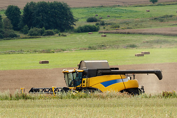 Image showing combine harvesting rape