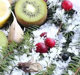 Image showing Fruits in the snow