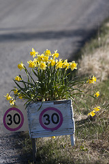 Image showing speed sign