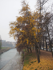 Image showing Dora river banks