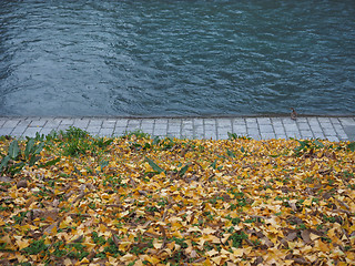 Image showing River bank in autumn