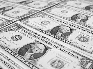 Image showing Black and white Dollar notes 1 Dollar