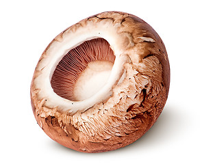 Image showing Cap on a brown champignon rotated