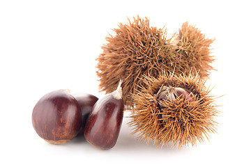 Image showing Chestnuts with shell 