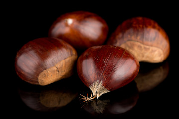 Image showing Chestnuts on a black reflective background