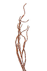 Image showing Golden Christmas decoration branches