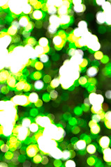 Image showing Abstract green background 