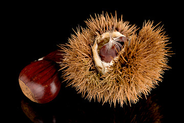 Image showing Chestnuts on a black reflective background