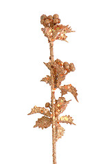 Image showing Golden Christmas decoration branches