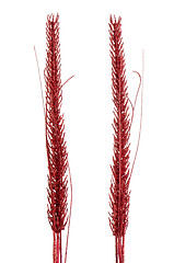 Image showing Red Christmas decoration