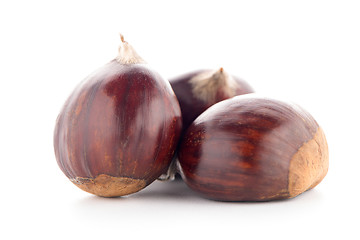 Image showing Chestnuts with shell 