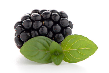 Image showing Blackberries with leaves