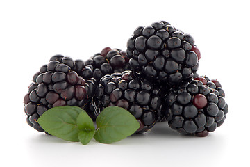 Image showing Blackberries with leaves