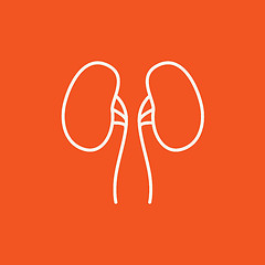 Image showing Kidney line icon.