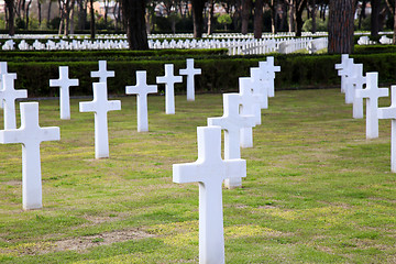 Image showing NETTUNO - April 06: Tombs, American war cemetery of the American