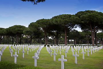 Image showing NETTUNO - April 06: Tombs, American war cemetery of the American