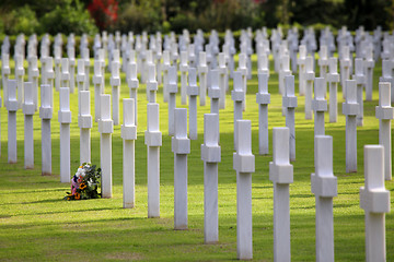 Image showing NETTUNO - April 06: Tombs, American war cemetery of the American