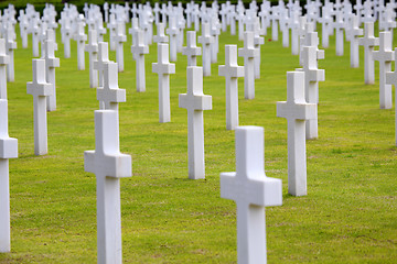 Image showing NETTUNO - April 06: Tombs, American war cemetery of the American