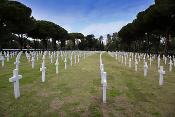 Image showing NETTUNO - April 06: Tombs, American war cemetery of the American