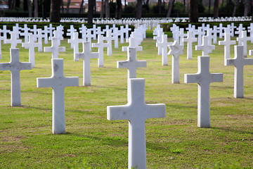 Image showing NETTUNO - April 06: Tombs, American war cemetery of the American